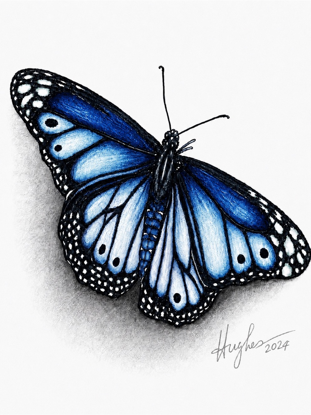 Blue Butterfly Wall Art Print | 8”x10” | Framed | Graphite Pencil Art | Signed